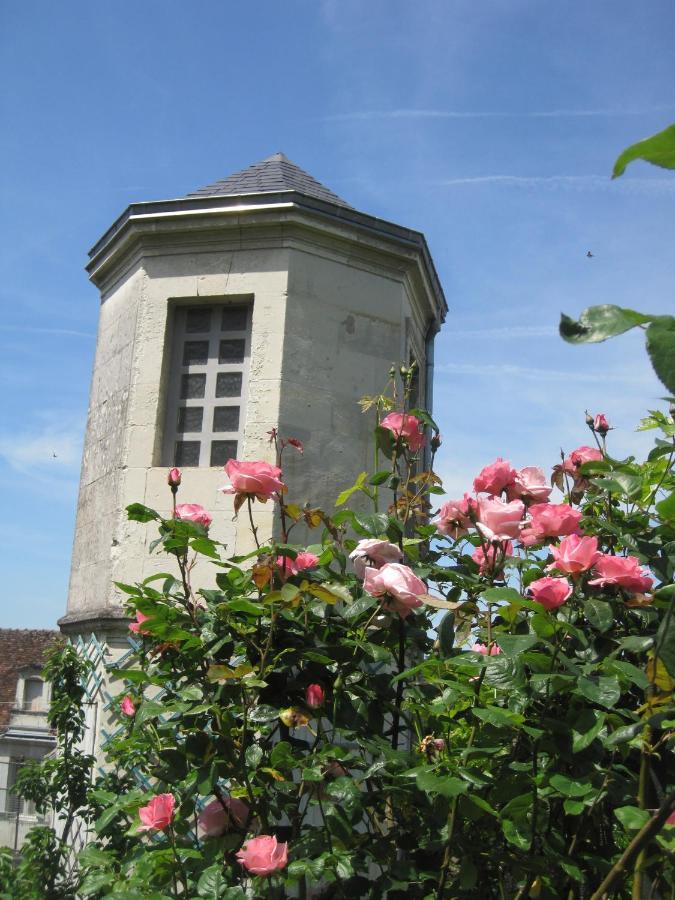 Villa à l'ancien Pigeonnier Loches Extérieur photo