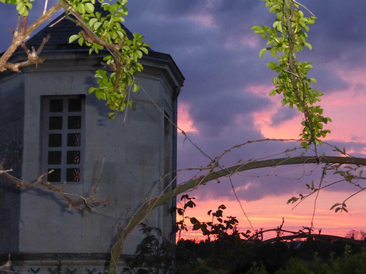 Villa à l'ancien Pigeonnier Loches Extérieur photo